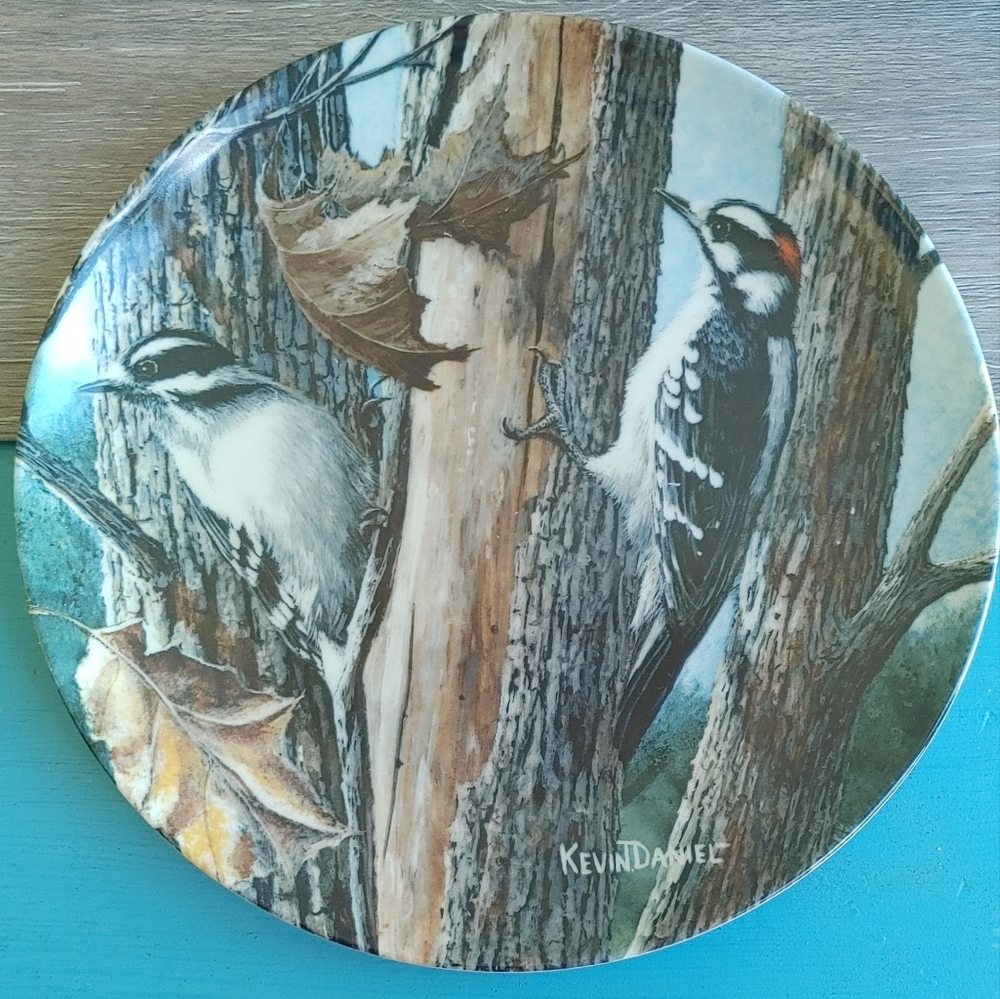 Woodpecker Decorative Plate by Kevin Daniel